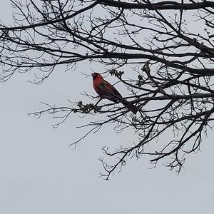 Pocket Change/U/Eyes