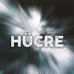 Hücre