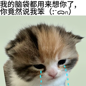 淇淇ovo
