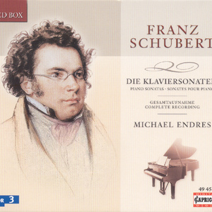 Piano Sonata No. 13 in A Major, Op. 120, D. 664:II. Andante