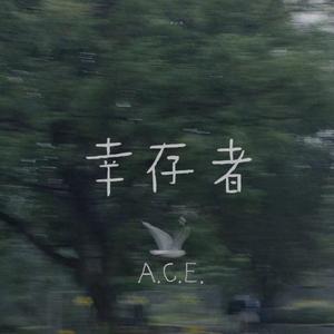 幸存者(Survivor）（翻自 JJLin）