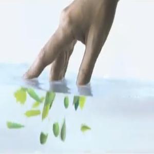 Liquid