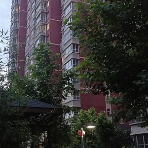 多一些，没变少