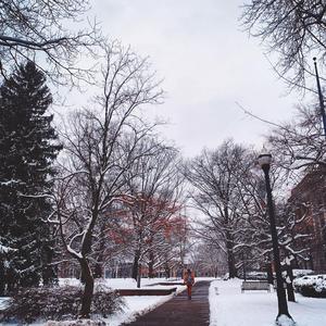 ROOK1E-pure imagination（JC (Jasper Chen) / MIU remix）