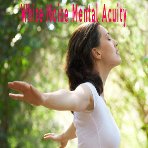 Pure Galaxian White Noise