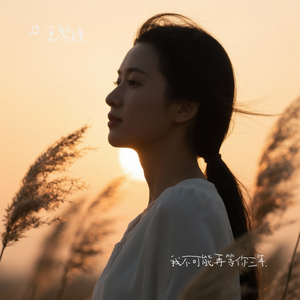 我不可能再等你三年