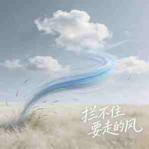 拦不住要走的风