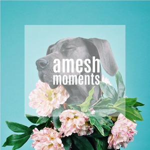Moments