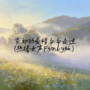 当初的爱情匆匆走过