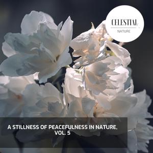 Happy and Steady Campfire