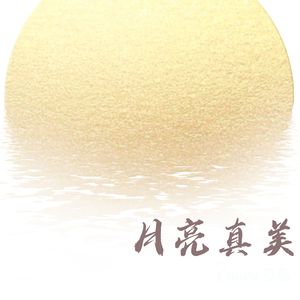 月亮好美 (钢琴)