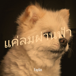 แค่ลมผ่านฟ้า