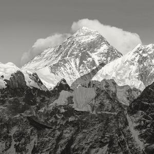 Himalayan