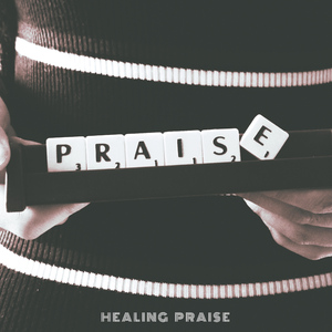 저 장미꽃 위에 이슬