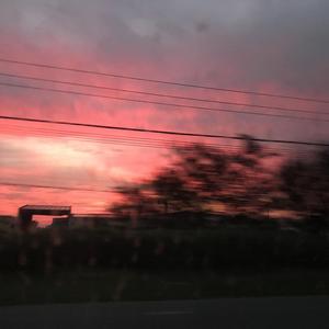 伤心黄昏收集录