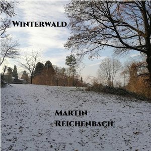 Winterwald