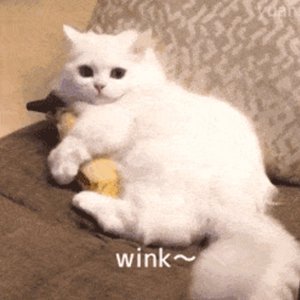 一起去看风和日丽(翻自 奚缘)