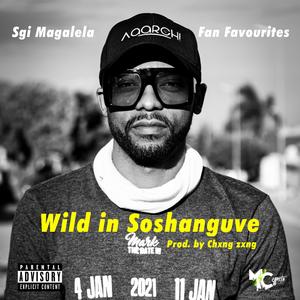 Wild In Soshanguve