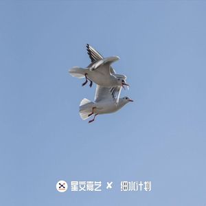 沈阳午夜探路 V29