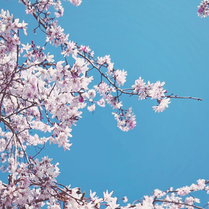 迷茫总是不痛不痒却又反复无常 (Remastered)(Demo)