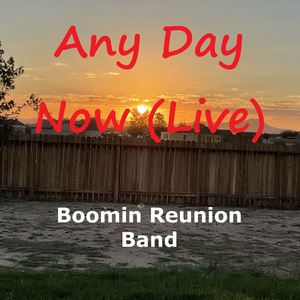 Any Day Now (Live)