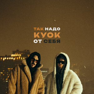 От себя (Доктор Звук)