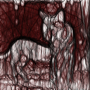 Thylacinus cynocephalus