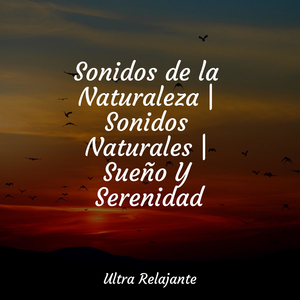 El Viento De Verano Sopla