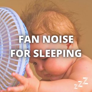 Fan (Loop)