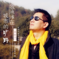 我流浪在城市的旷野