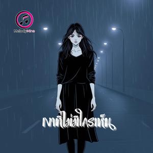 เงาที่ไม่มีใครเห็น (The Shadow No One Sees)