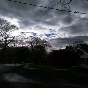 The Peice Pirate Assault