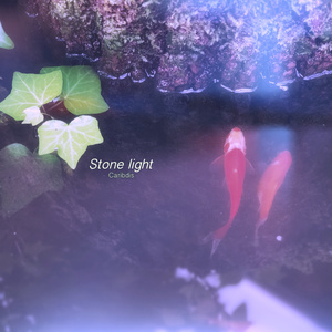 Stone light