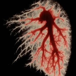 Trakin（T酱）-迷幻的夜（Ferry remix）