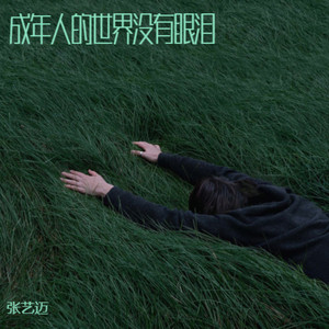 成年人的世界没有眼泪 (DjGsus4版)