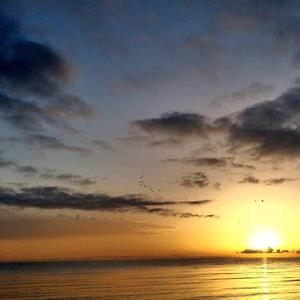 我的爱被你囚禁在心里