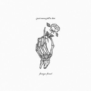 I Just Wanna Fall In Love