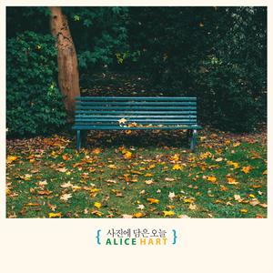 사진에 담은 오늘