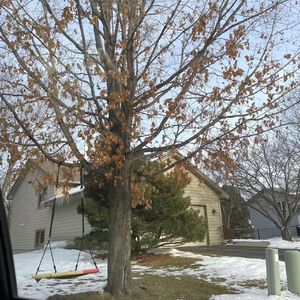 ‘ 蝴蝶 ’ rod wave x lil durk type beat