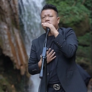 情难枕 (走心版)(1.1X版)(DJ王小龙版)