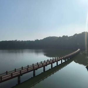 月光代我去远方