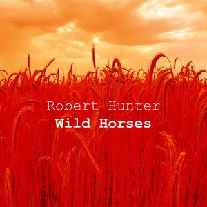 Wild Horses (Radio Edit)