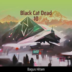 Black Cat Dead 10