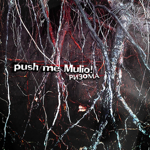 Мъдростта на времето