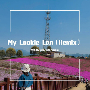 卫兰-My Cookie Can（马浩瀚 / 林冉 / 辰辞 / 沐苒苒 remix）