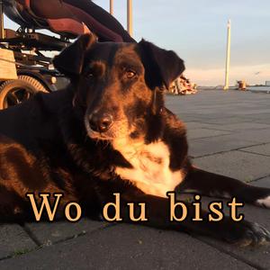 Wo du bist