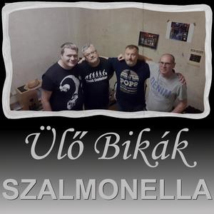 Szalmonella