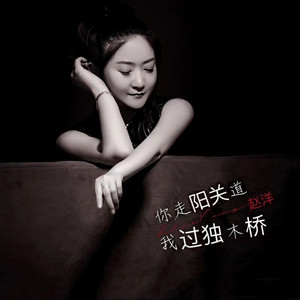 你走阳关道我过独木桥 (Dj老鹏伴奏)