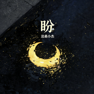 盼(卡车司机DJ版)