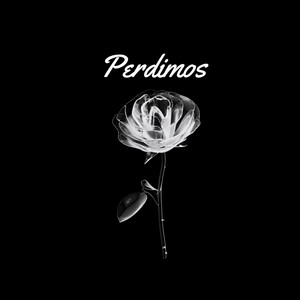 Perdimos
